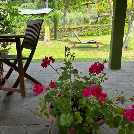 Casa Verde Country House مونتيسكودايو المظهر الخارجي الصورة