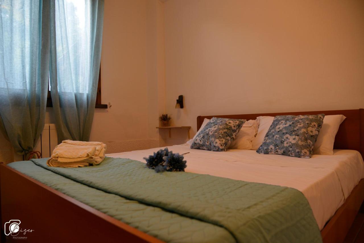 Casa Verde Country House مونتيسكودايو المظهر الخارجي الصورة