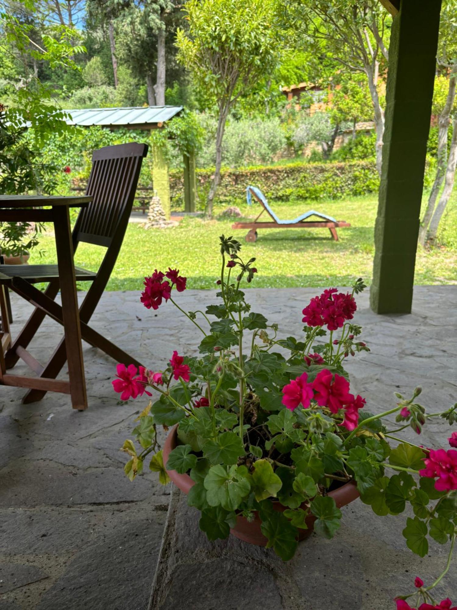 Casa Verde Country House مونتيسكودايو المظهر الخارجي الصورة